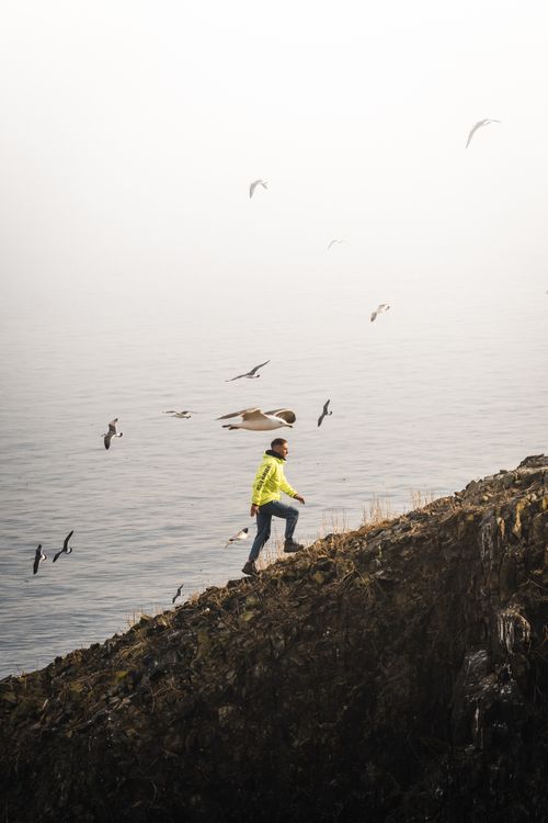 Free A man in a yellow jacket climbs a rocky cliff with birds flying around against a foggy seaside backdrop. Stock Photo