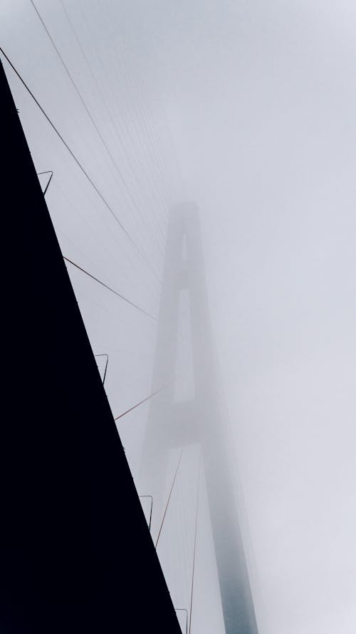 Foto profissional grátis de enevoado, neblina, ponte pênsil