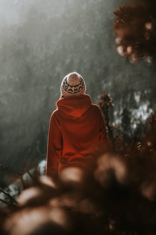 Foto profissional grátis de camisa com capuz, chapéu, inverno