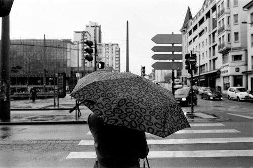 Základová fotografie zdarma na téma centrum města, černobílý, deštník