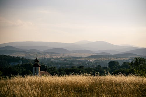 Kostnadsfri bild av åkermark, bergen, dagsljus