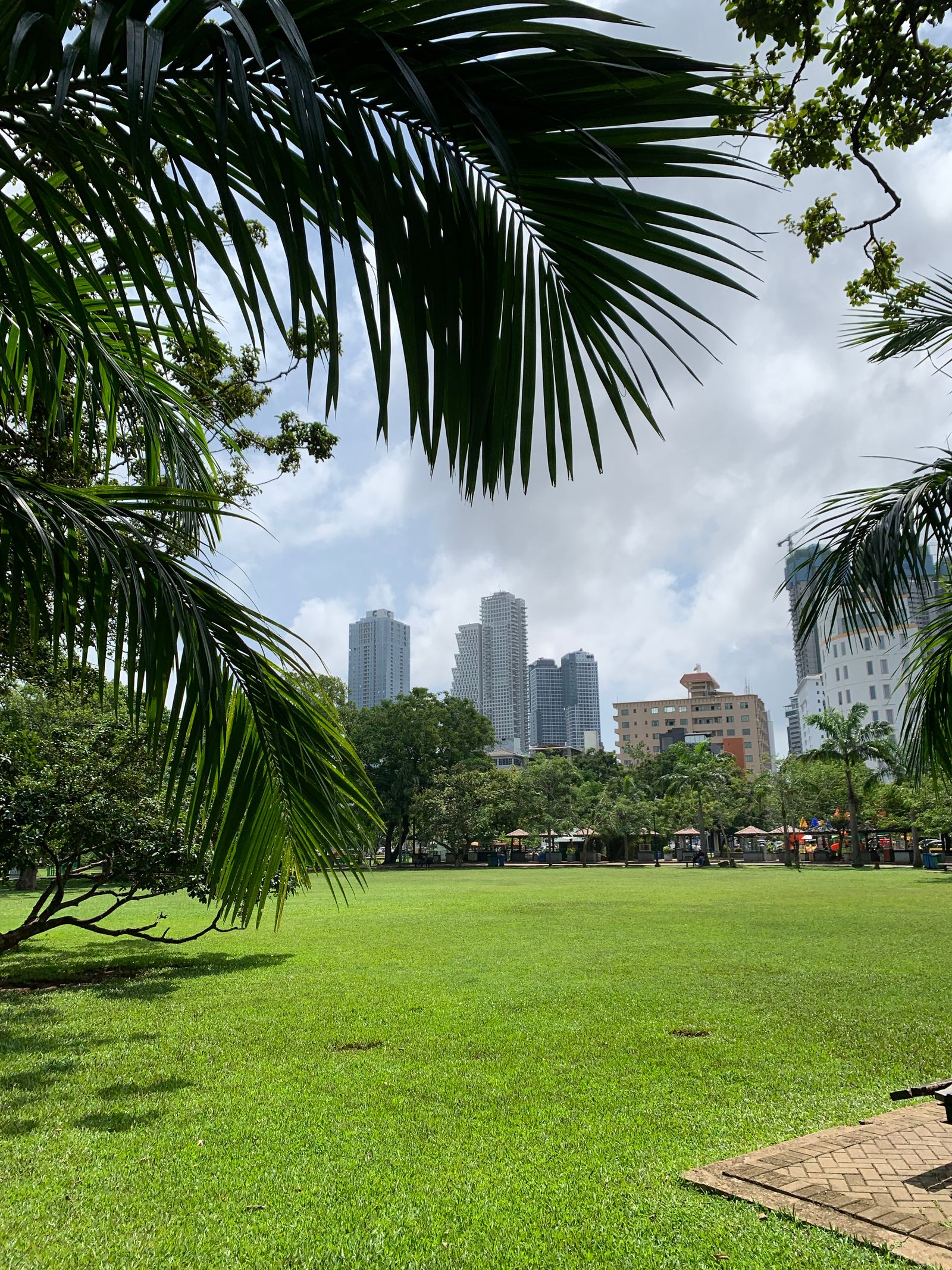 A green city park with skyscrapers rising in the background