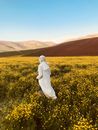 Field of reference Images