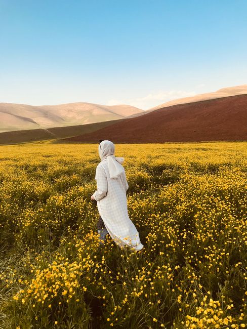 A woman in a white dress walks through a vibrant yellow flower field under a clear blue sky.