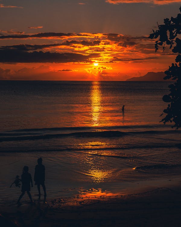 Silhouette of Two People on the Beach during Sunset