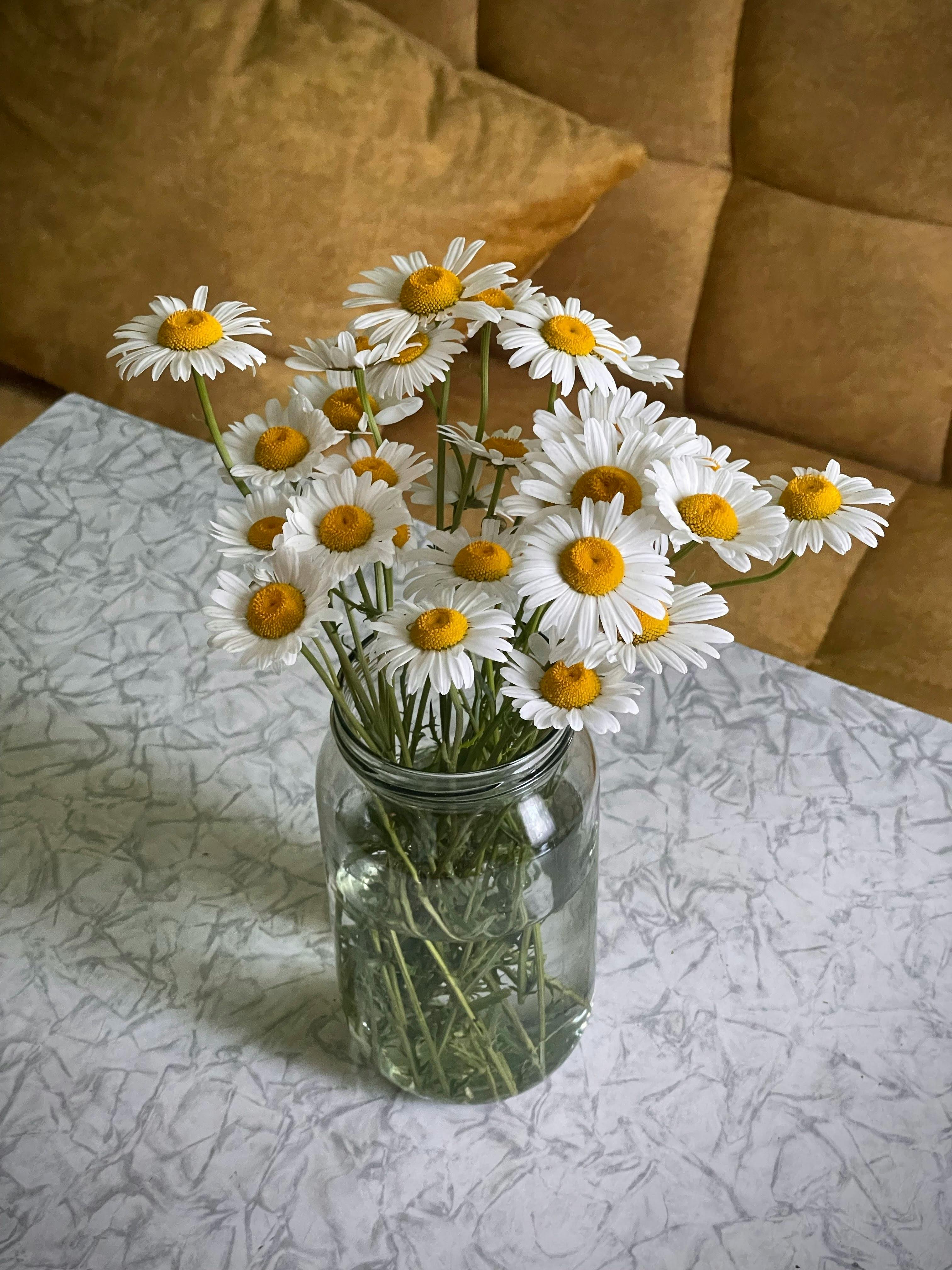 Dry Daisy Flowers Glass Jar On Stock Photo 785822056