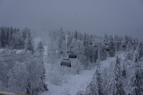 Foto profissional grátis de árvores, com frio, elevador de esqui
