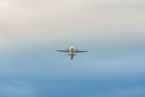 Foto profissional grátis de aeronave, voando