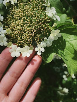 Image by Tamara Elnova