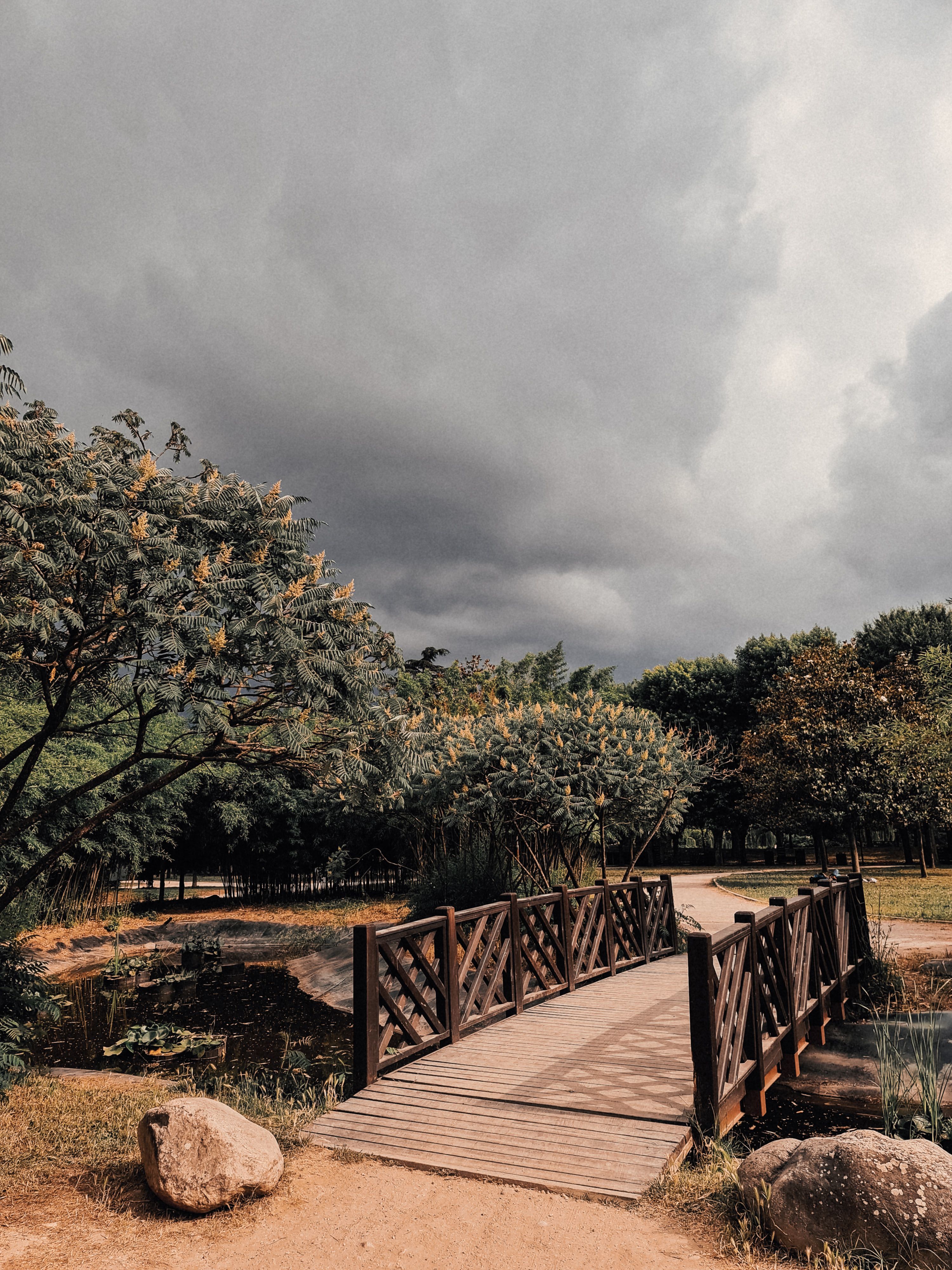 Brown Wooden Bridge Near Green Trees Under Cloudy Sky · Free Stock Photo