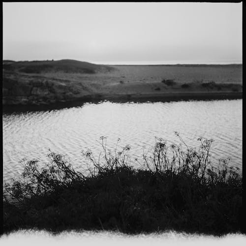 Foto d'estoc gratuïta de blanc i negre, fons de pantalla per al mòbil, paisatge