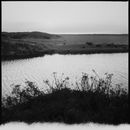 Cry a river Images