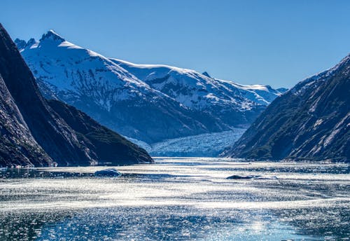 Fjord among Snowcapped Mountains