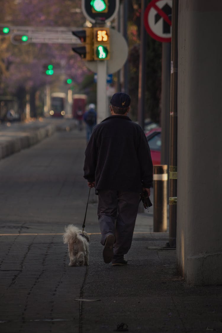 Back View Of A Man Walking His Dog