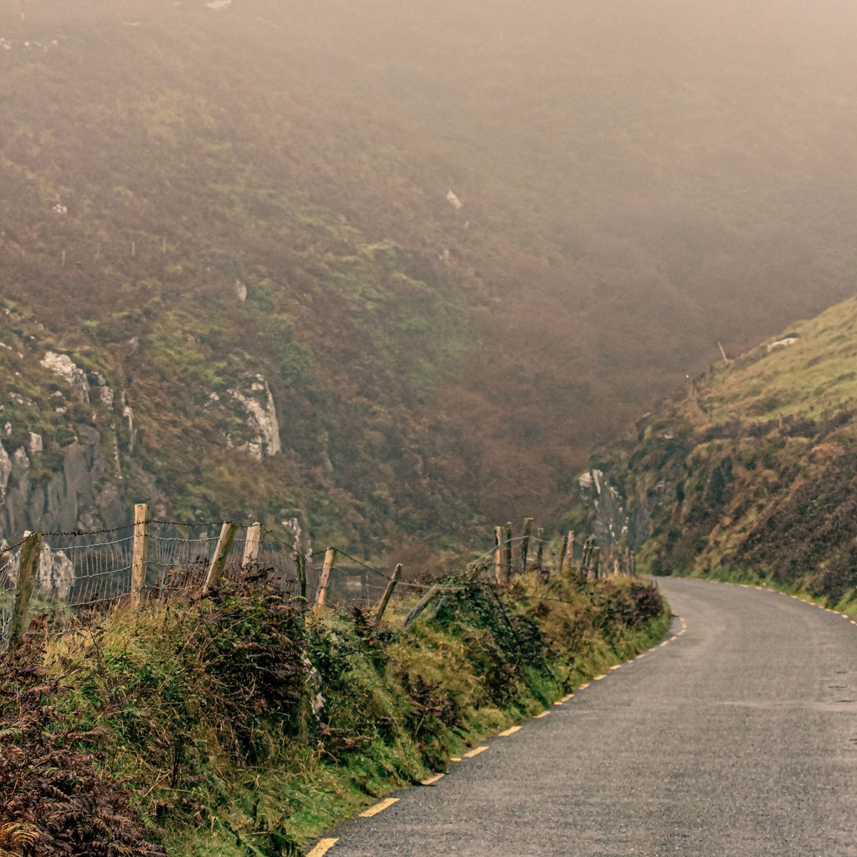 Route de campagne étroite et sinueuse dans la campagne irlandaise