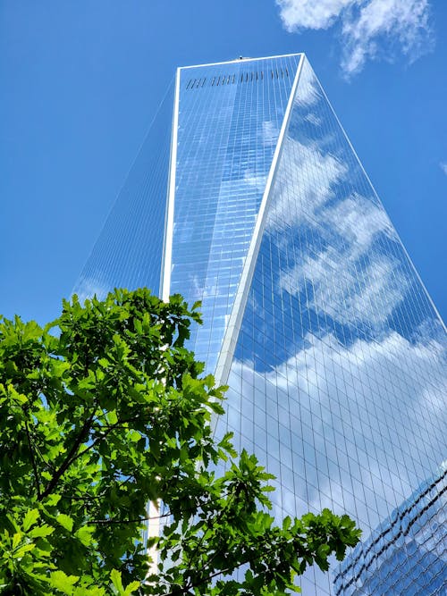 世界貿易中心, 低角度拍攝, 垂直拍攝 的 免費圖庫相片
