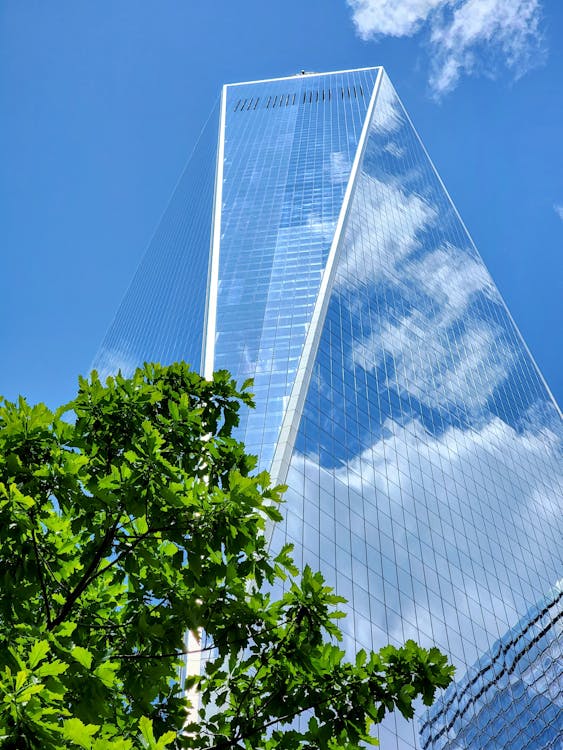 The One World Trade Center in New York