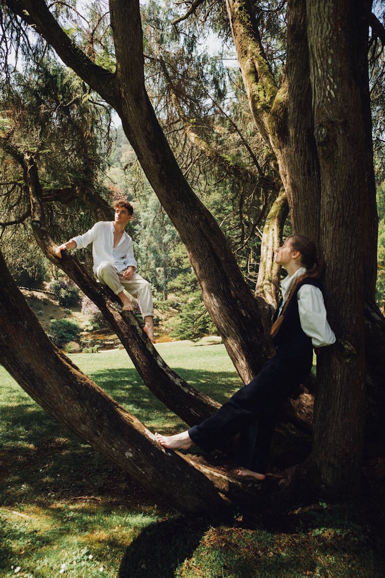 Woman And Man On Tree