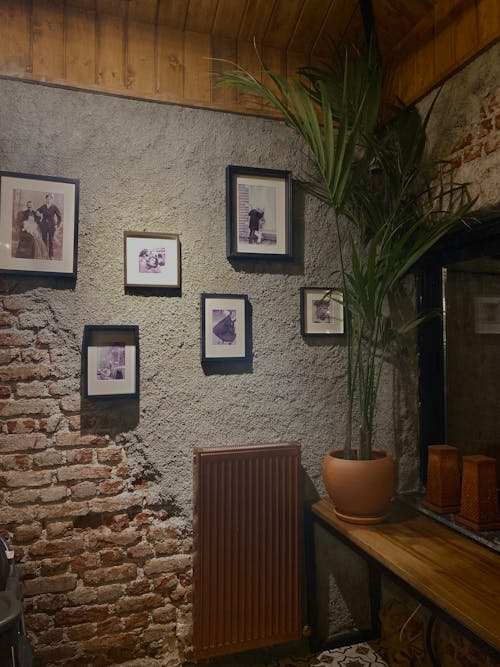 Free stock photo of cafe design, cafe interior