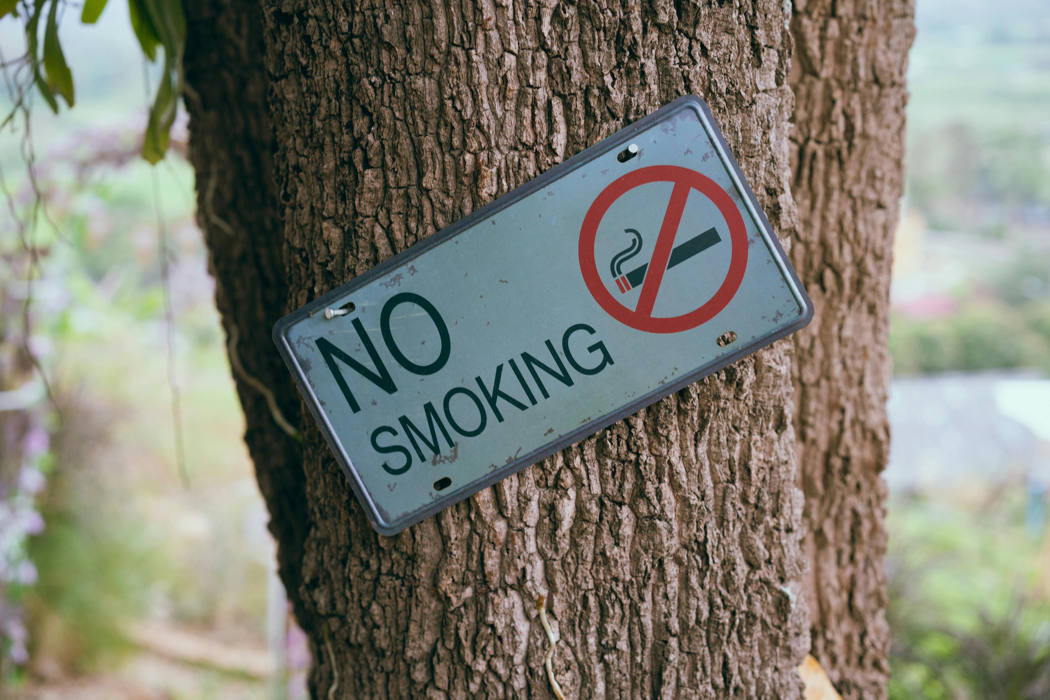 No Smoking Photos, Download The BEST Free No Smoking Stock Photos & HD  Images