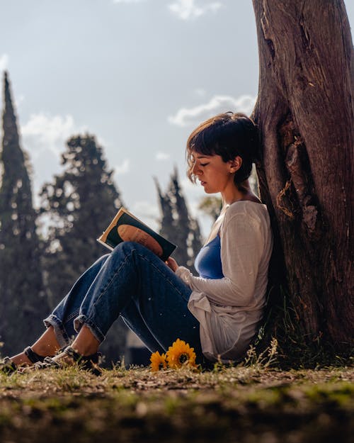 Chica Con Libro En Arbol Lectura Libro Sol