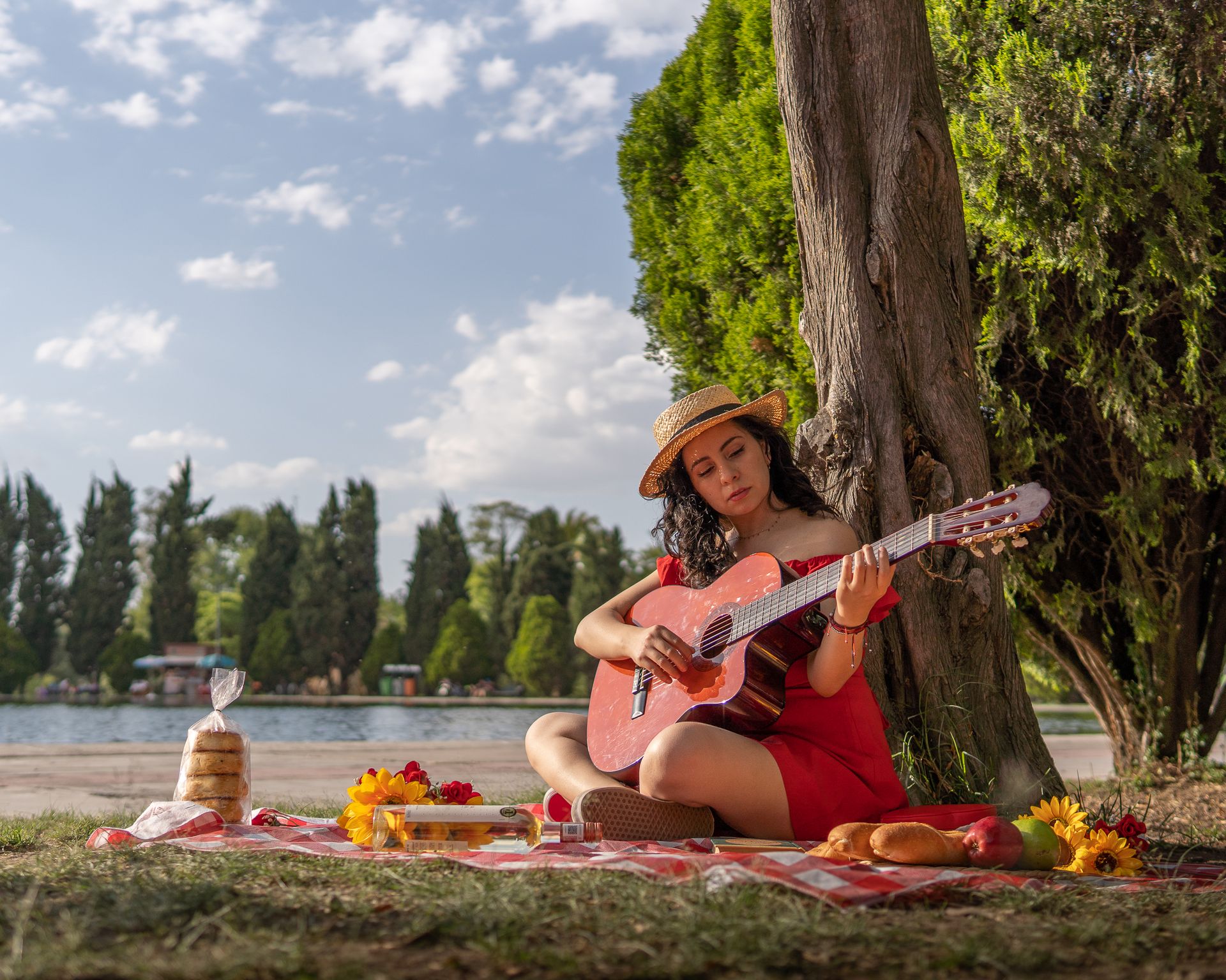 Woman in red dress playing guitar during a picnic in a Mexico City park.