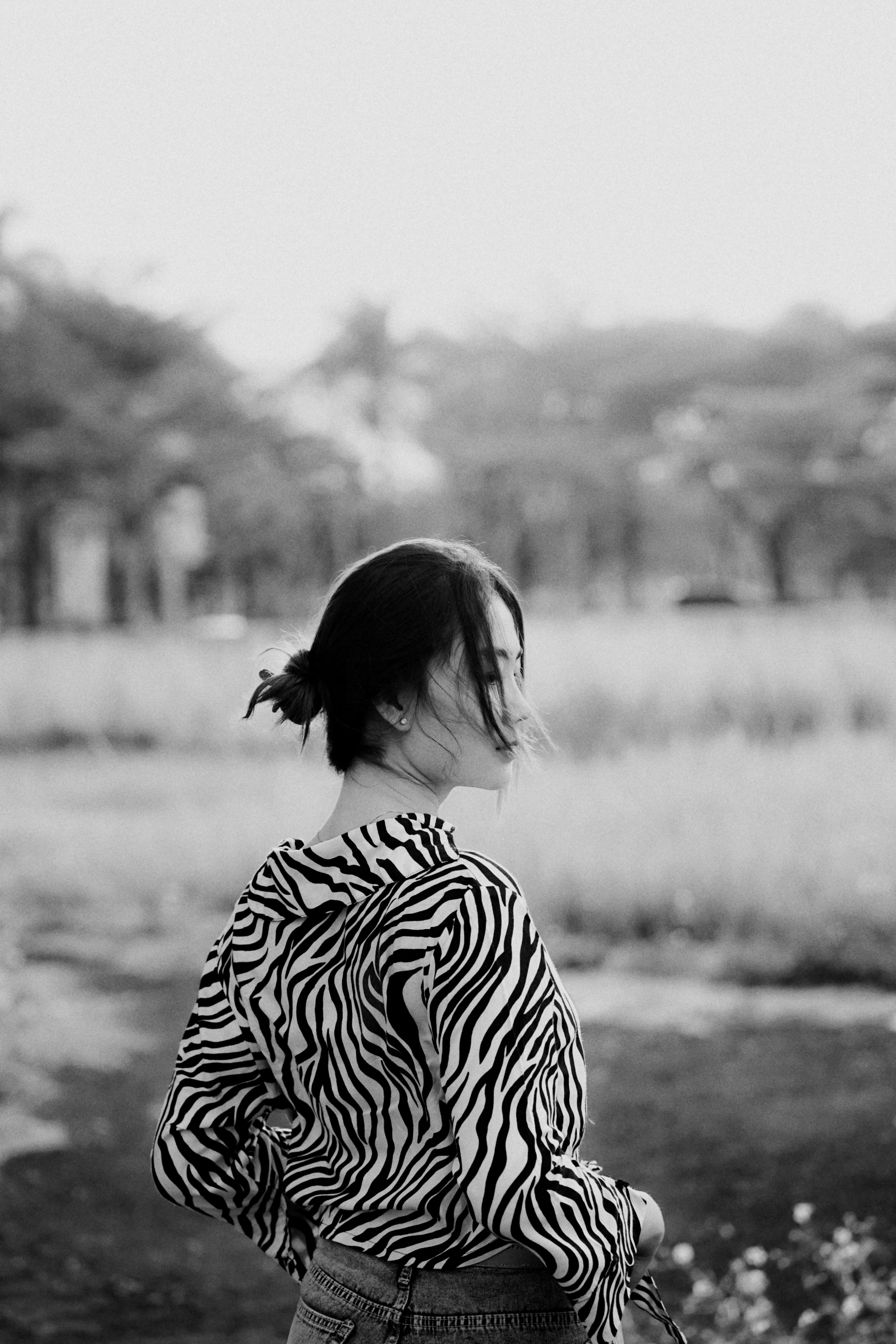 grátis Foto profissional grátis de ao ar livre, área, artístico Foto profissional