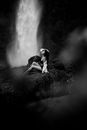 Woman Sitting near Waterfall