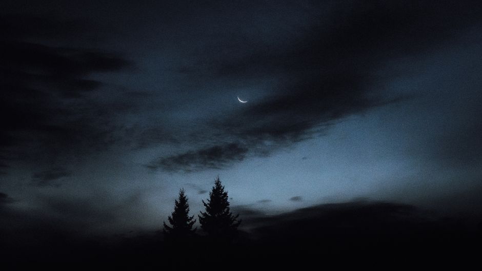 Cielo notturno sereno con una luna crescente e alberi in controluce su uno sfondo di nuvole.