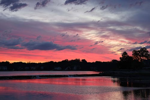 Silhouette of Trees during Sunset