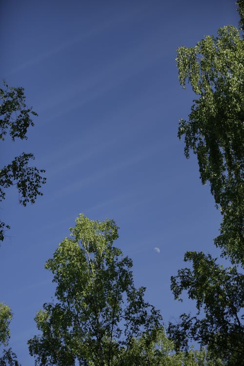 Free Imagine de stoc gratuită din aer, atmosferă, cer albastru Stock Photo