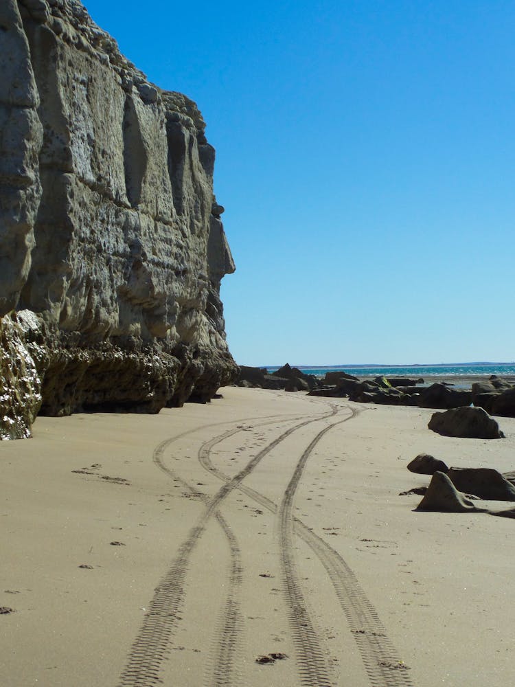 Car Traces On Sand Beach Near Rock