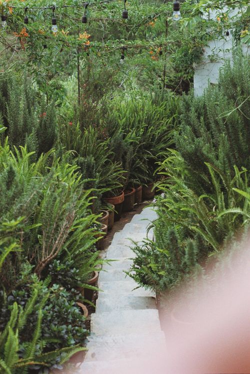 Free A serene tropical garden pathway features lush greenery and stone steps. Stock Photo