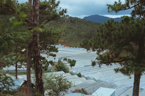 地平線, 屋上, 山岳の無料の写真素材