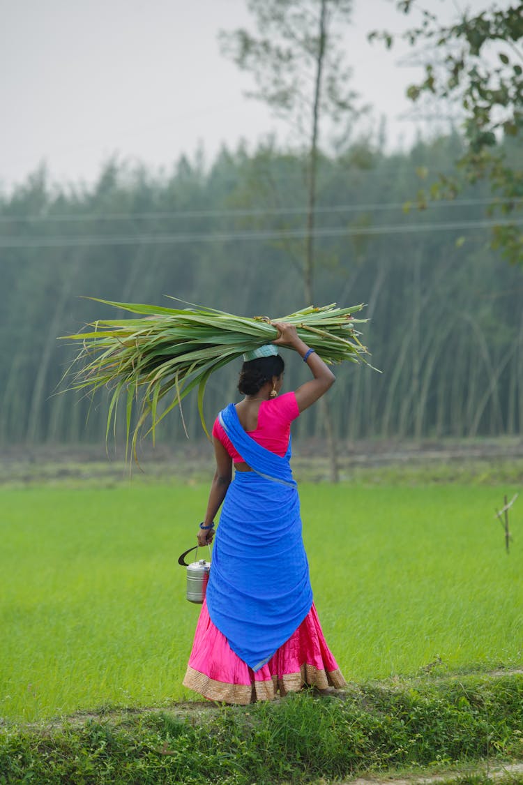 Woman In Traditional Clothes Carrying Crop On Head