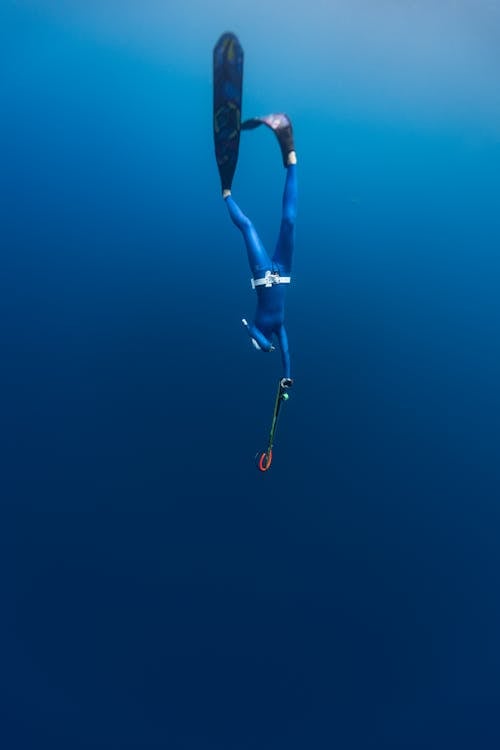 A Person Wearing Blue Diving Suit and Flippers Diving Under Water