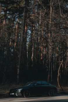A luxury black sedan parked amidst tall trees in a peaceful forest landscape.