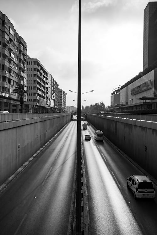 Grayscale Photo of Cars on Road