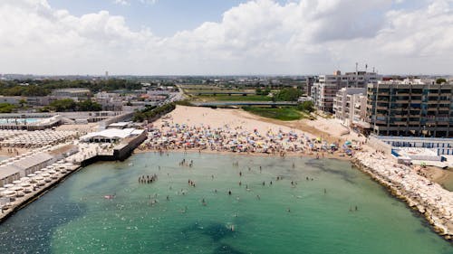 An Aerial Shot of People in a Beach