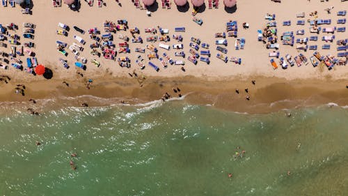 Aerial Photography of People on Beach
