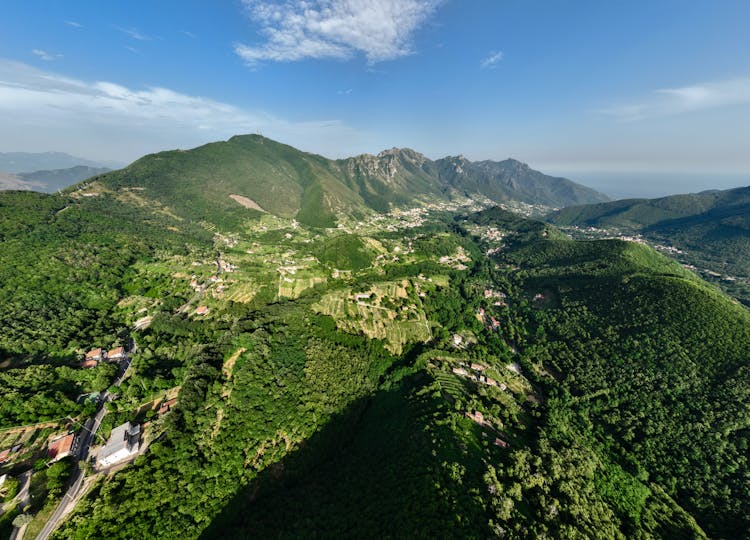 Farms On Mountain