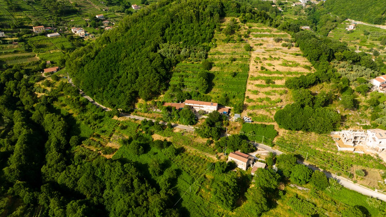 Farm and House in Birds Eye View