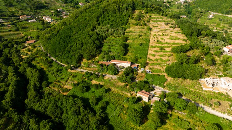 Farm And House In Birds Eye View