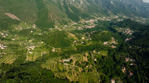 Free Aerial perspective of a lush green countryside with hills, fields, and scattered homes. Stock Photo