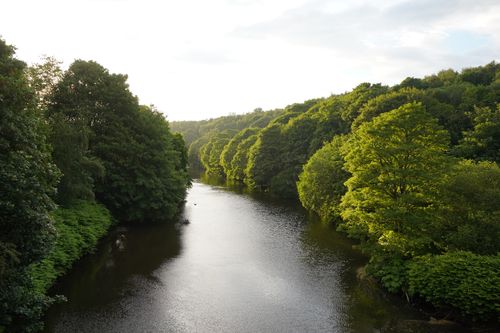 Free A serene view of a river with lush green trees on a calm summer day. Stock Photo