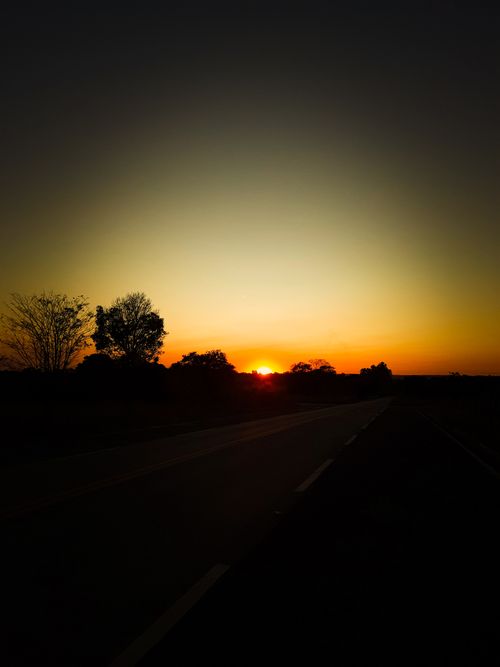 Free A tranquil sunset with silhouetted trees and an empty road in the foreground, creating a peaceful scene. Stock Photo
