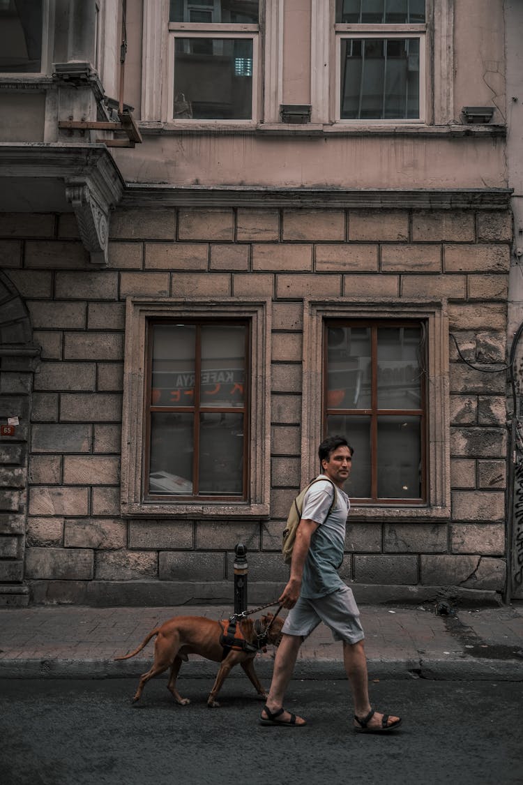 Man With Backpack Walking On The Street With A Dog