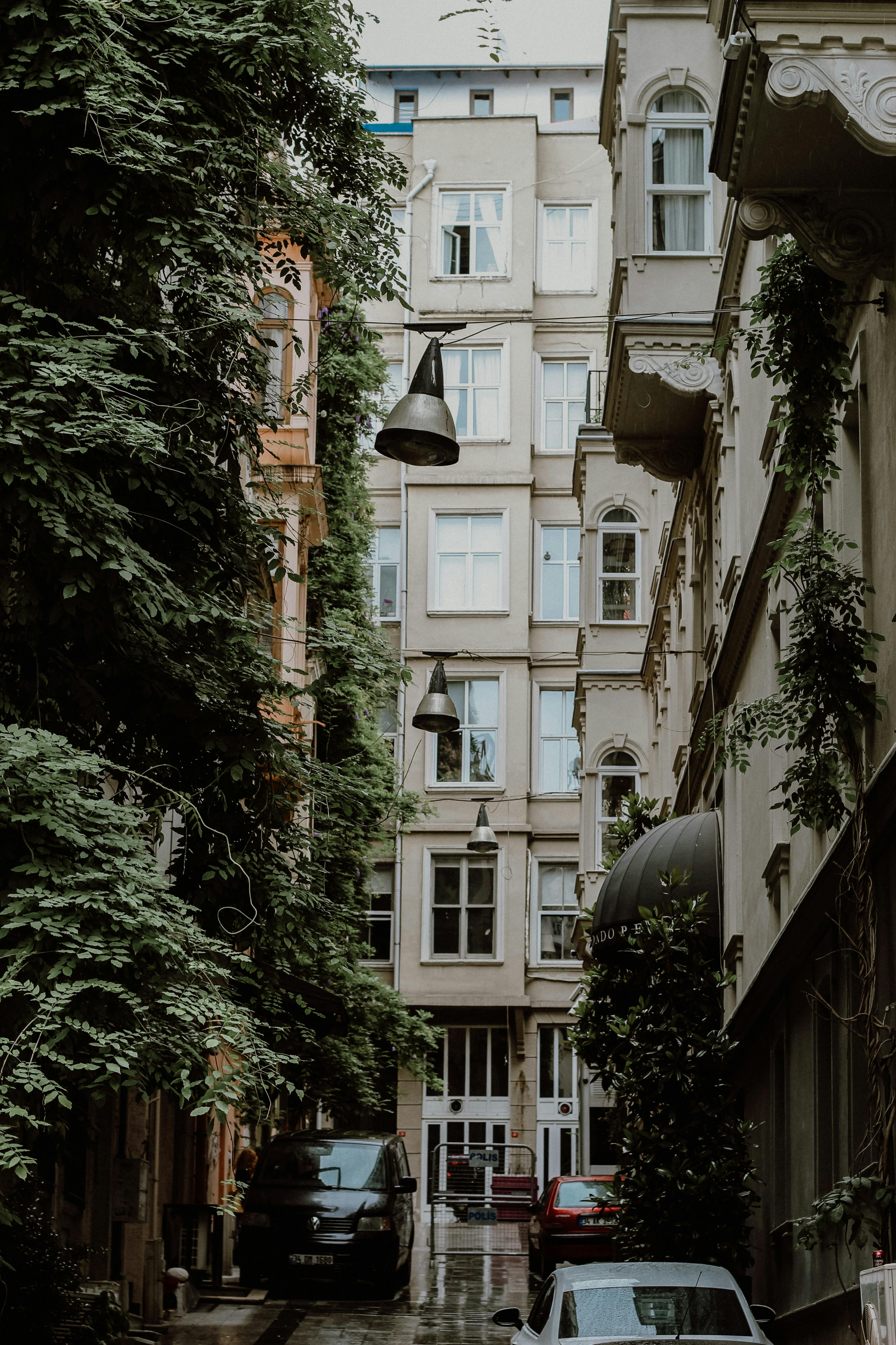5 644 Best Free Narrow Stock Photos Images · 100% Royalty Free HD 5 644 Best Free Narrow Stock Photos Images · 100% Royalty Free HD