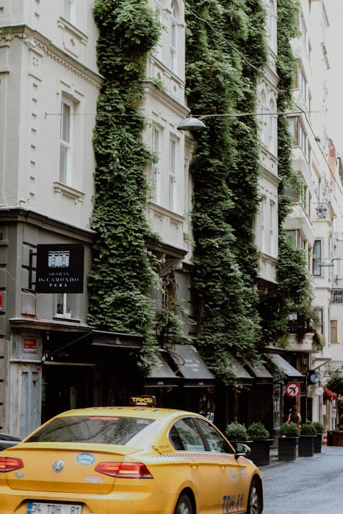 Ilmainen kuvapankkikuva tunnisteilla ajoneuvo, auto, Istanbul Kuvapankkikuva
