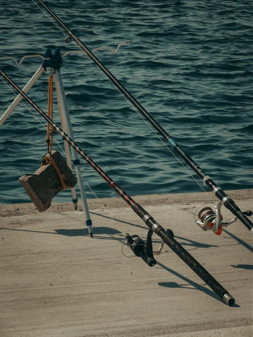 Fotos de stock gratuitas de afición, muelle, ocio